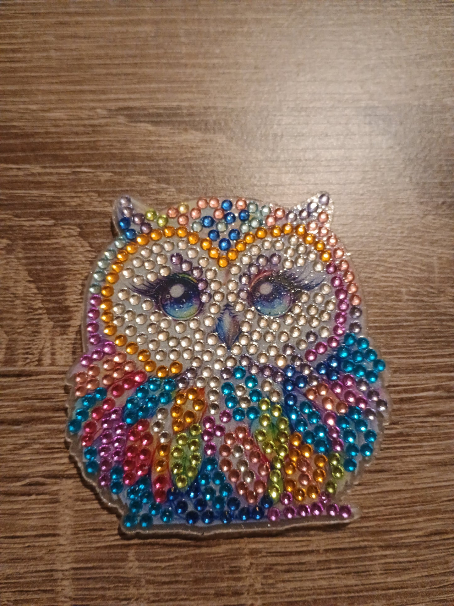 Diamond Art magnet