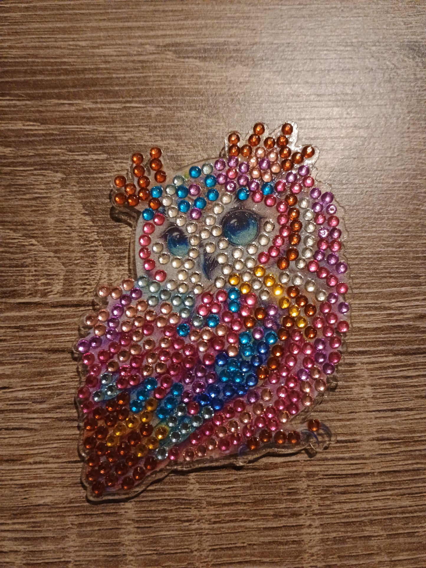 Diamond Art magnet