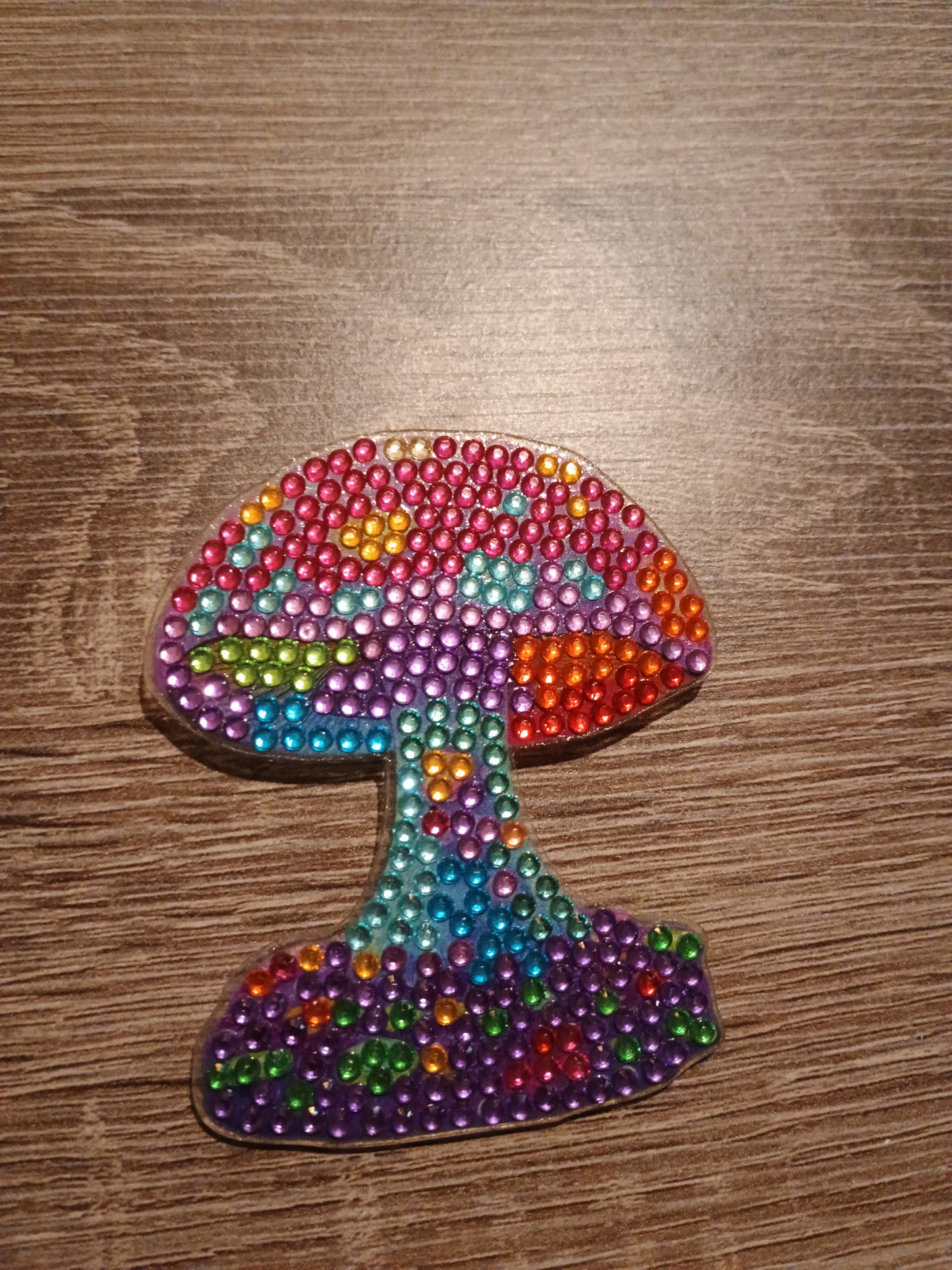 Diamond Art magnet