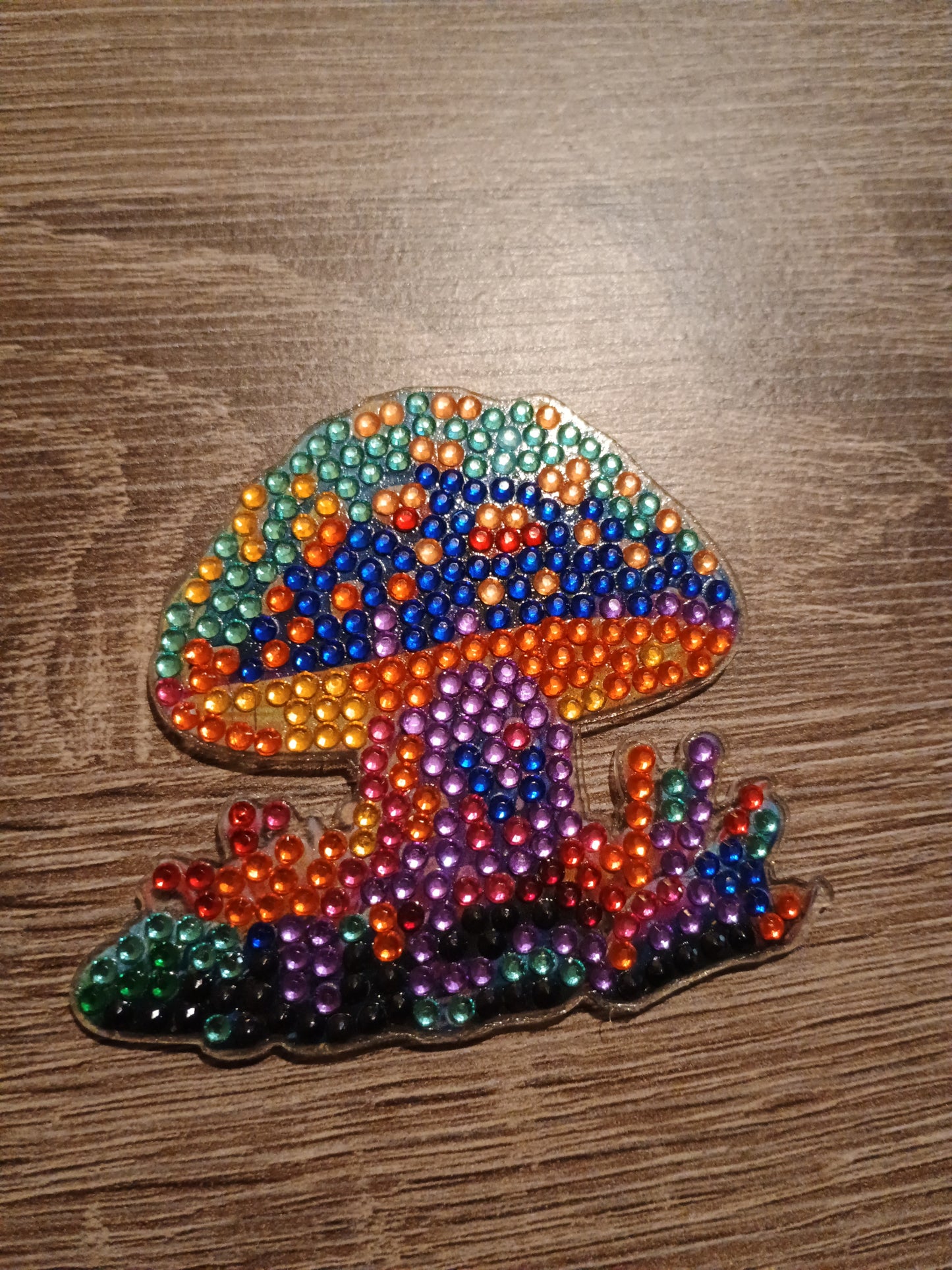 Diamond Art magnet