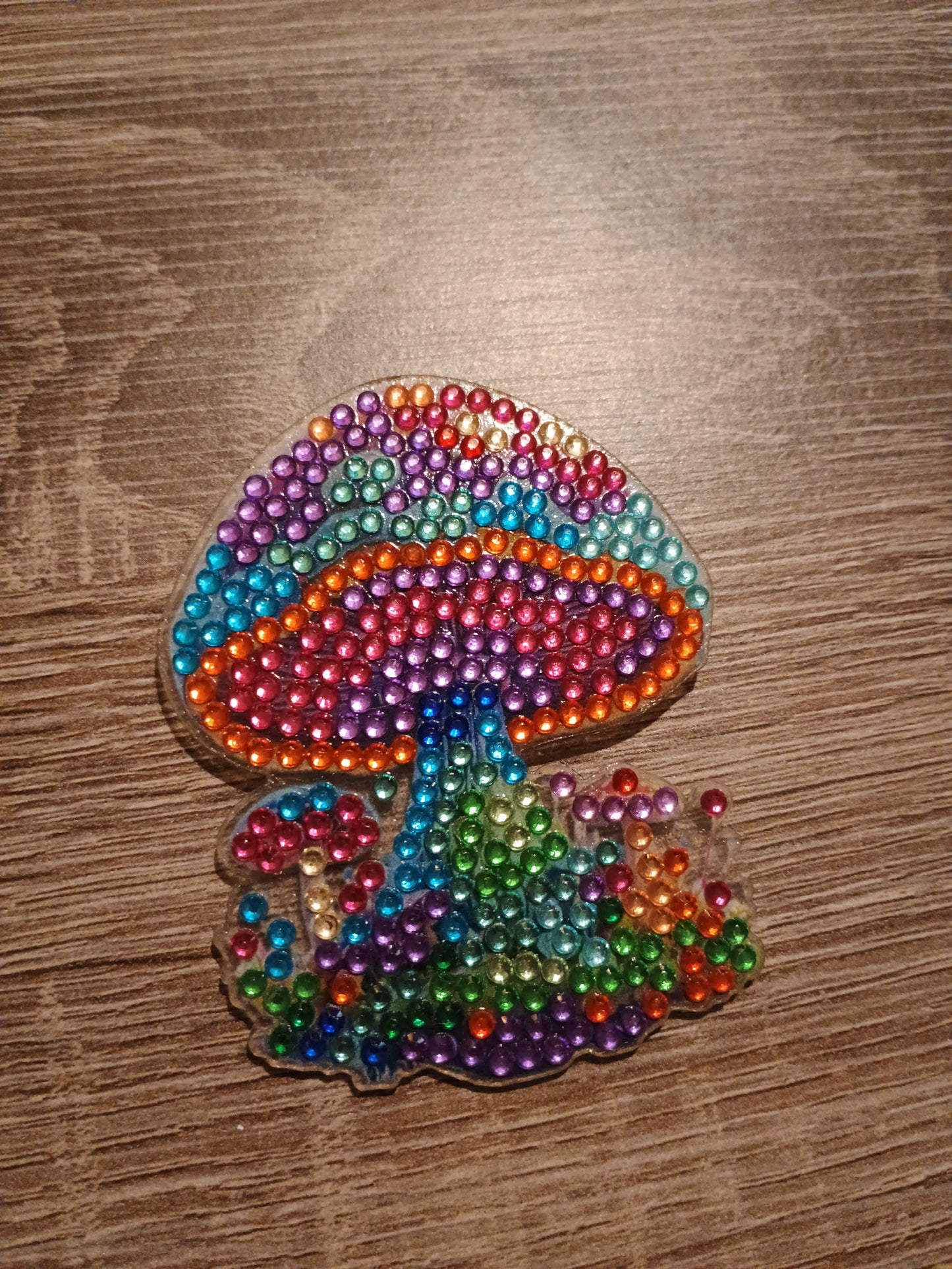 Diamond Art magnet