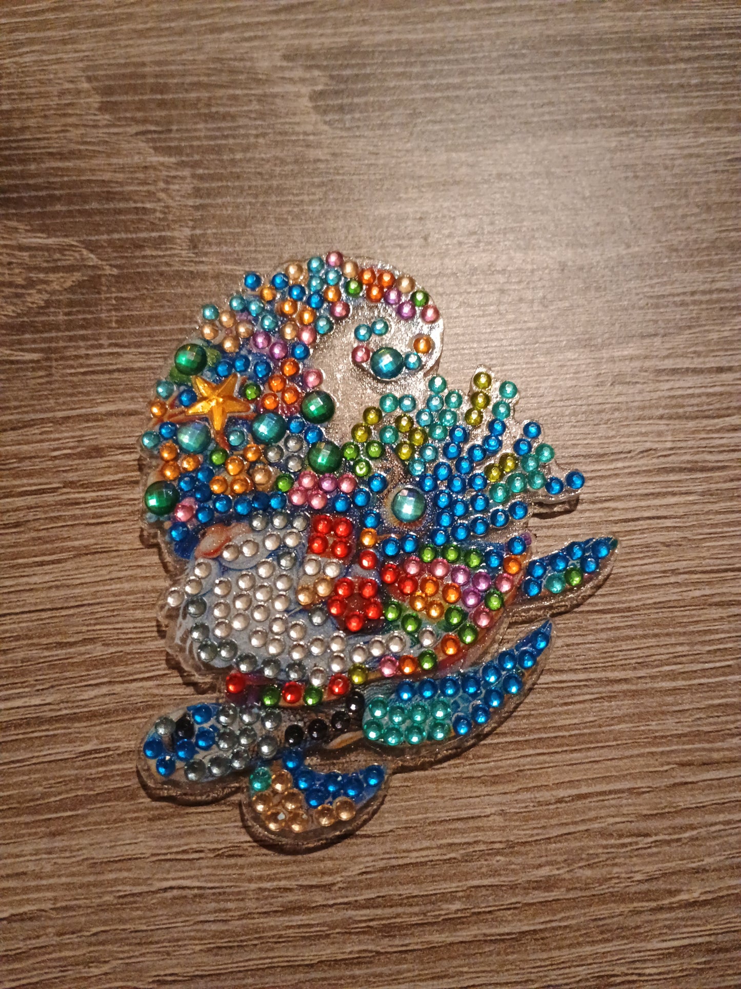 Diamond Art magnet