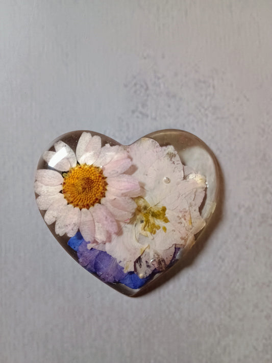 Resin heart magnet