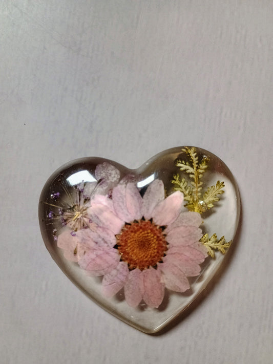 Resin heart magnet