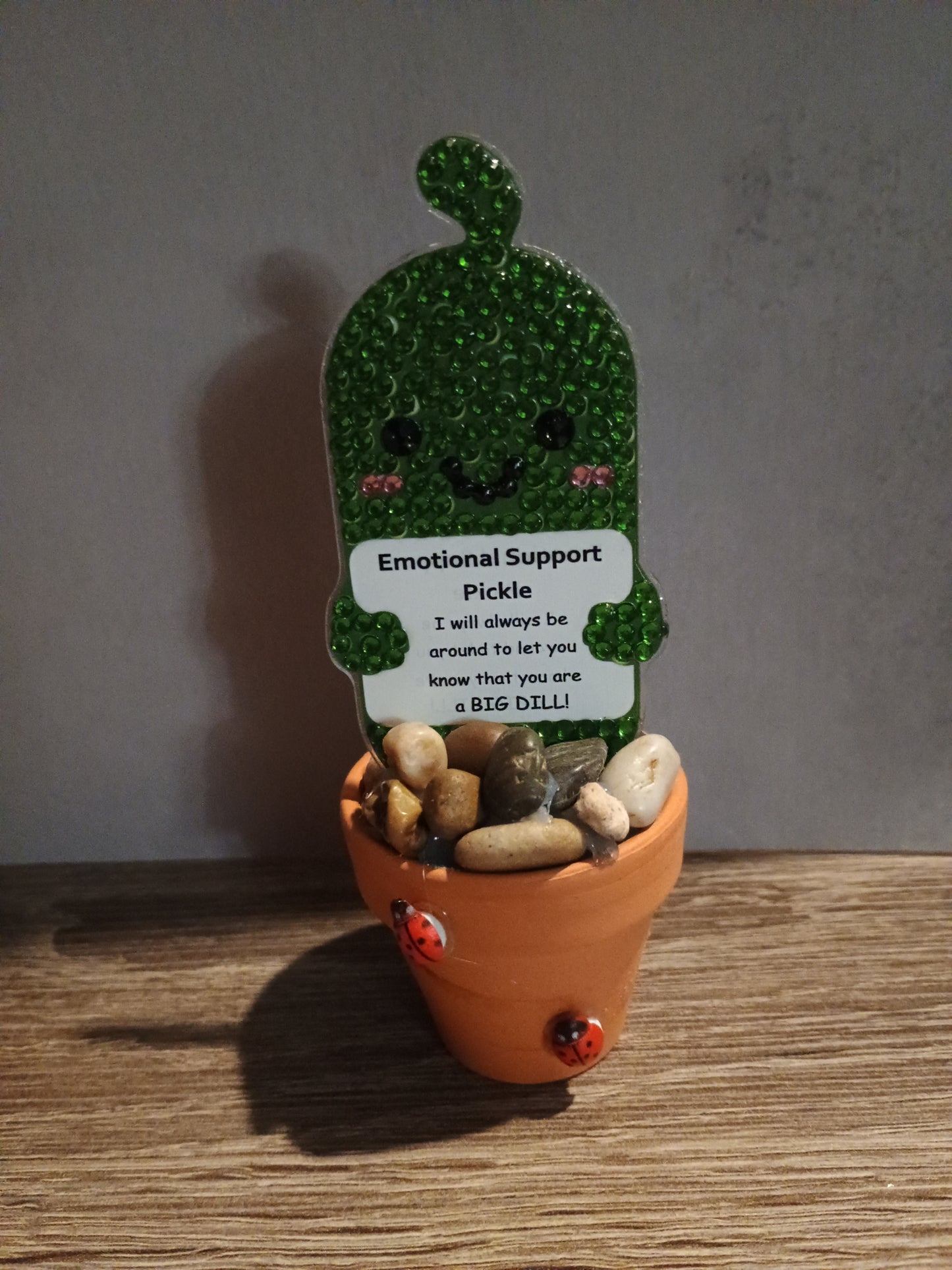 Pickle Pal
