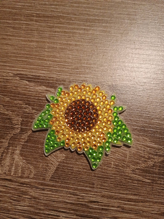 Diamond Art magnet