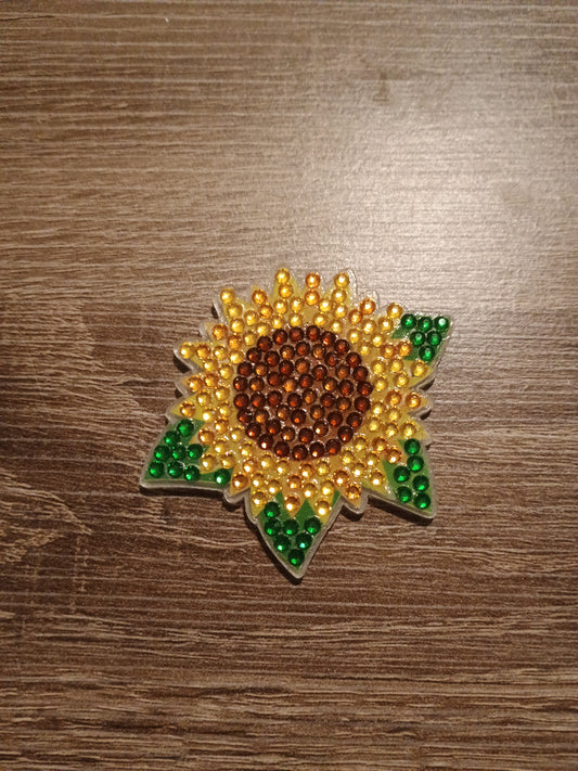 Diamond Art magnet