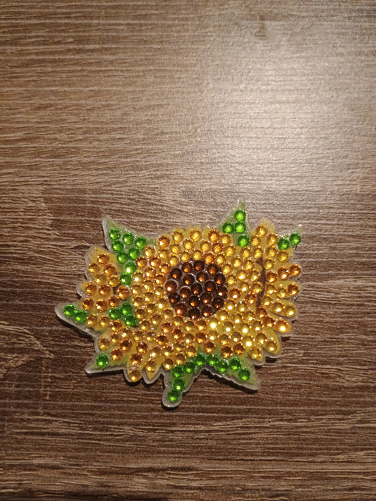 Diamond Art magnet