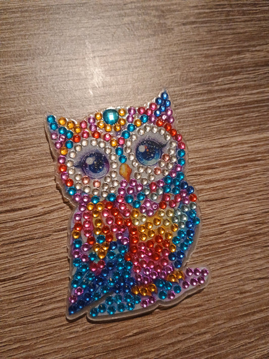 Diamond Art magnet