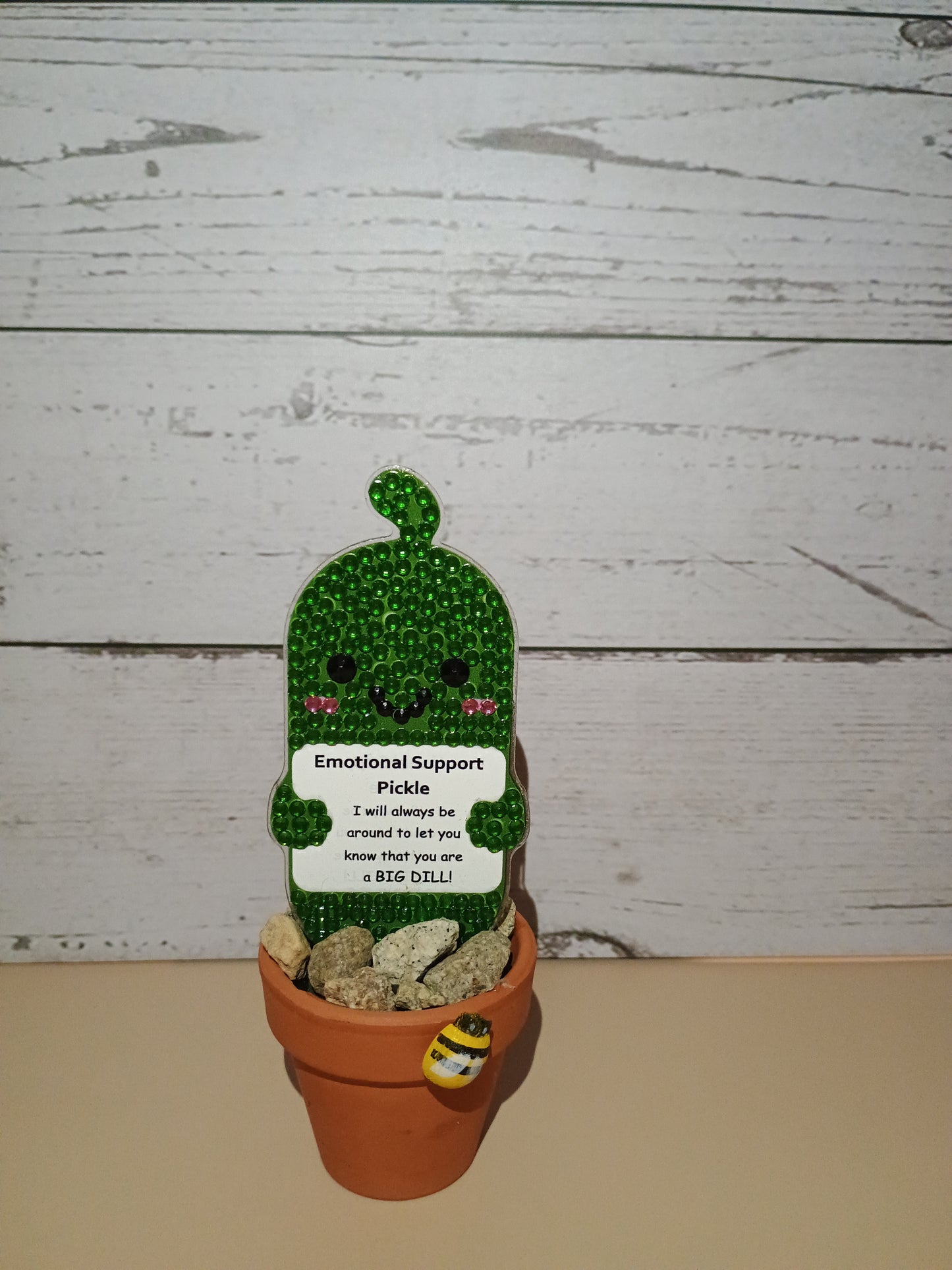Pickle Pal