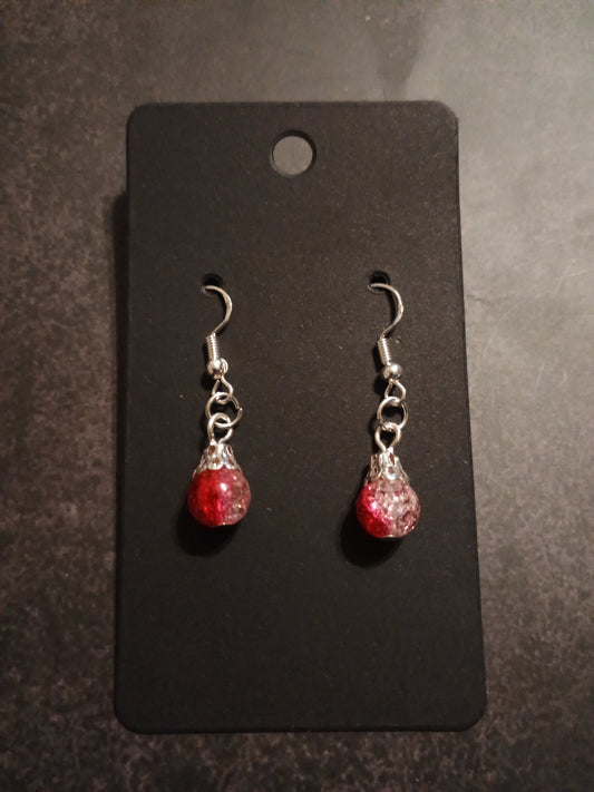 Charm Earrings