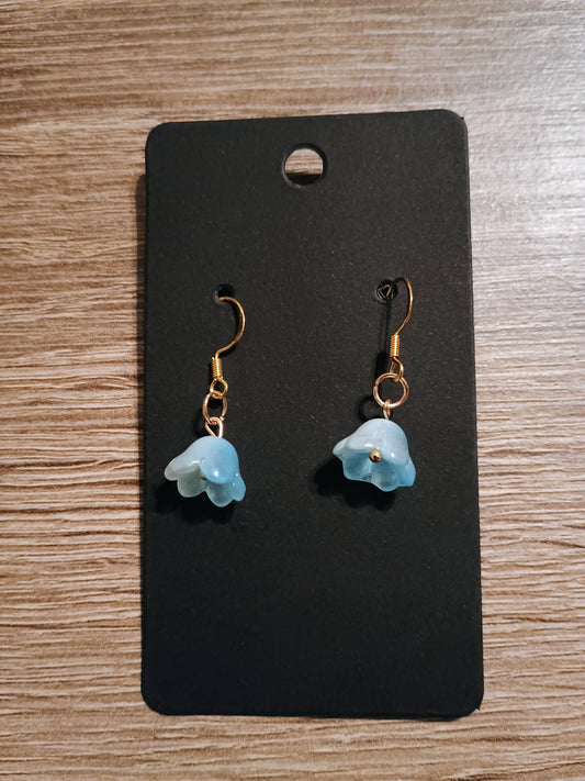 Charm Earrings